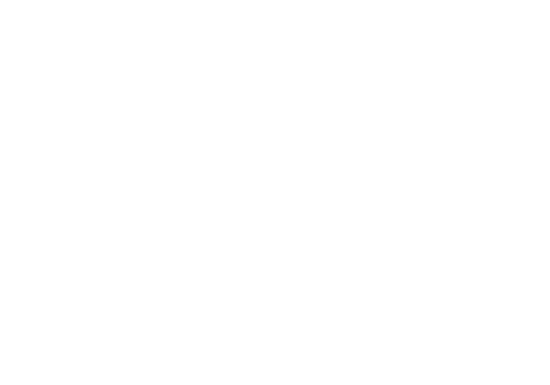 Dsmart.png